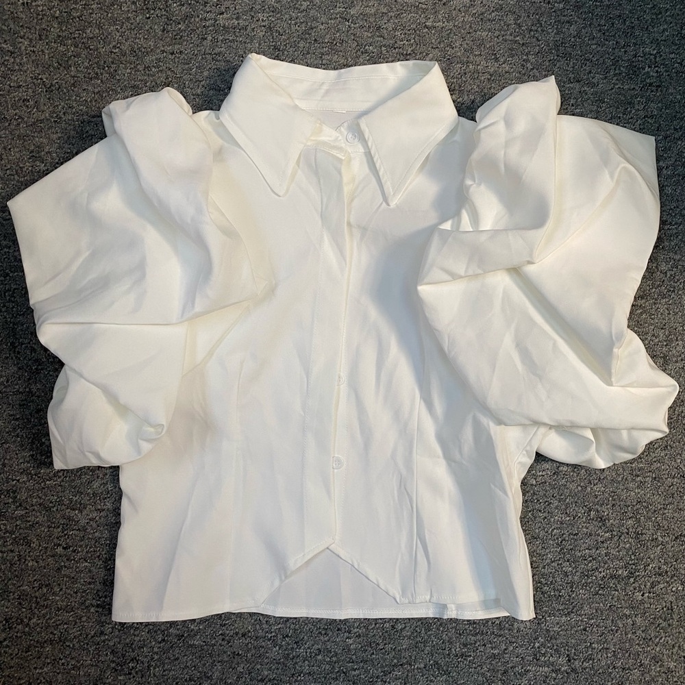 Ruffled sleeves blouse